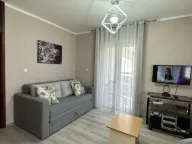 Rent, studio apartment, 30m², Rozino, Budva - image 1