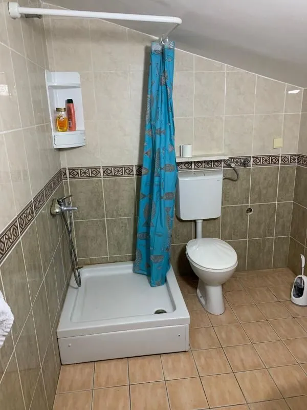Bathroom with a shower cabin and toilet bowl tiled with ceramic tiles.