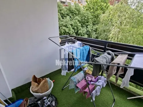 Izdavanje, dvosoban stan, 60m², Žarkovo, Beograd - image 19