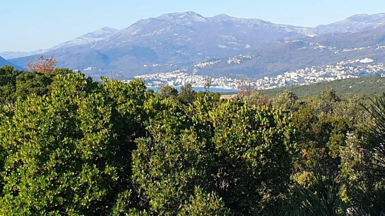 Prodaja, plac, 4150m², Herceg Novi, Crna Gora