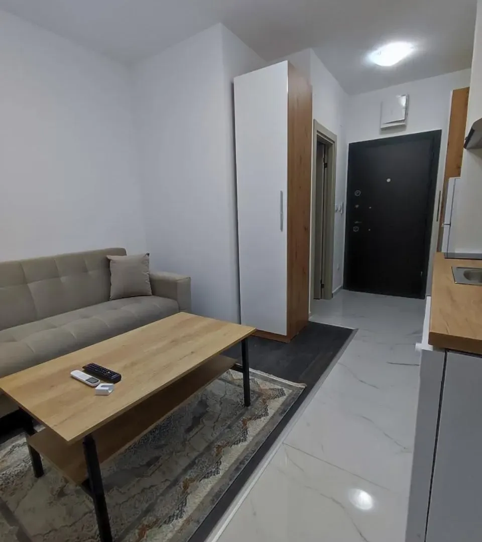 Izdavanje, jednosoban stan, 25m², Zabjelo, Podgorica