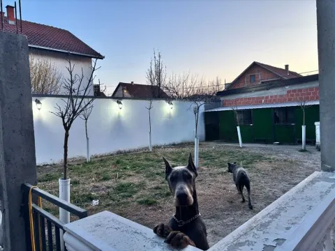 Prodaja, kuća, 222m², Borča Sve Podlokacije, Beograd - image 4