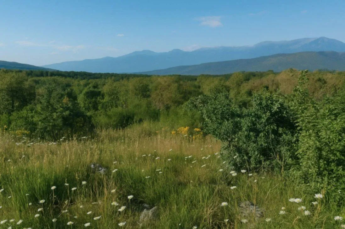 Prodaja, plac, 30962m², Lješanska Nahija, Podgorica