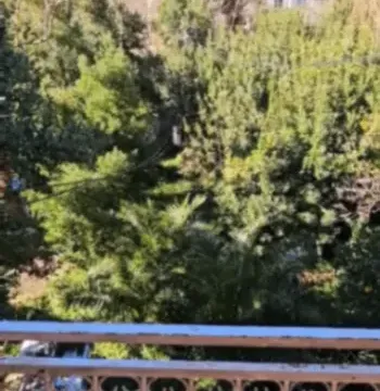 Prodaja, kuća, 200m², Muo, Kotor - image 9