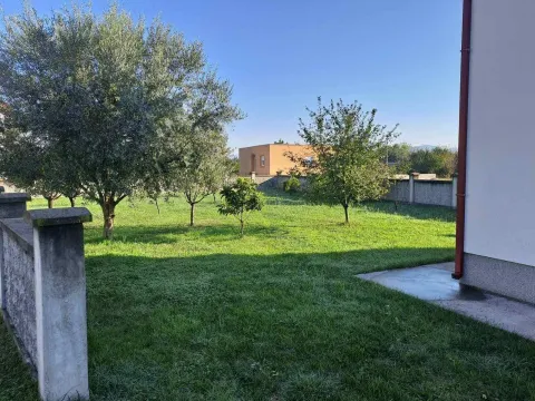 Prostrano ozelenjeno dvorište sa stablima maslina i voćkama ispred kuće. - image 2