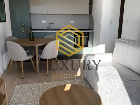 Rent, one bedroom apartment, 37m², Tološi, Podgorica - image 13