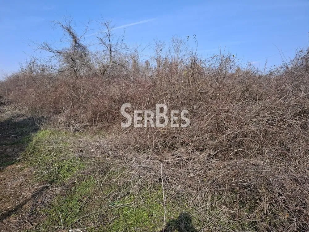 Prodaja, plac, 3251m², Trandžament, Petrovaradin