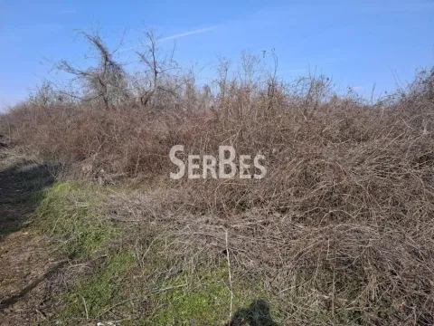 Sale, land lot, 3251m², Trandžament, Petrovaradin - image 3