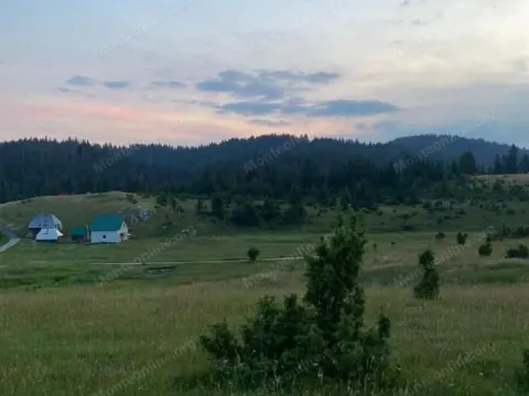 Prodaja, plac, 15531m², Krš, Žabljak - image 5