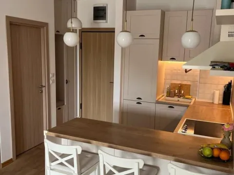 Izdavanje, jednosoban stan, 46m², Budva, Crna Gora - image 13