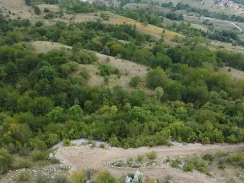 Prodaja, plac, 41000m², Kolašin, Crna Gora - image 4