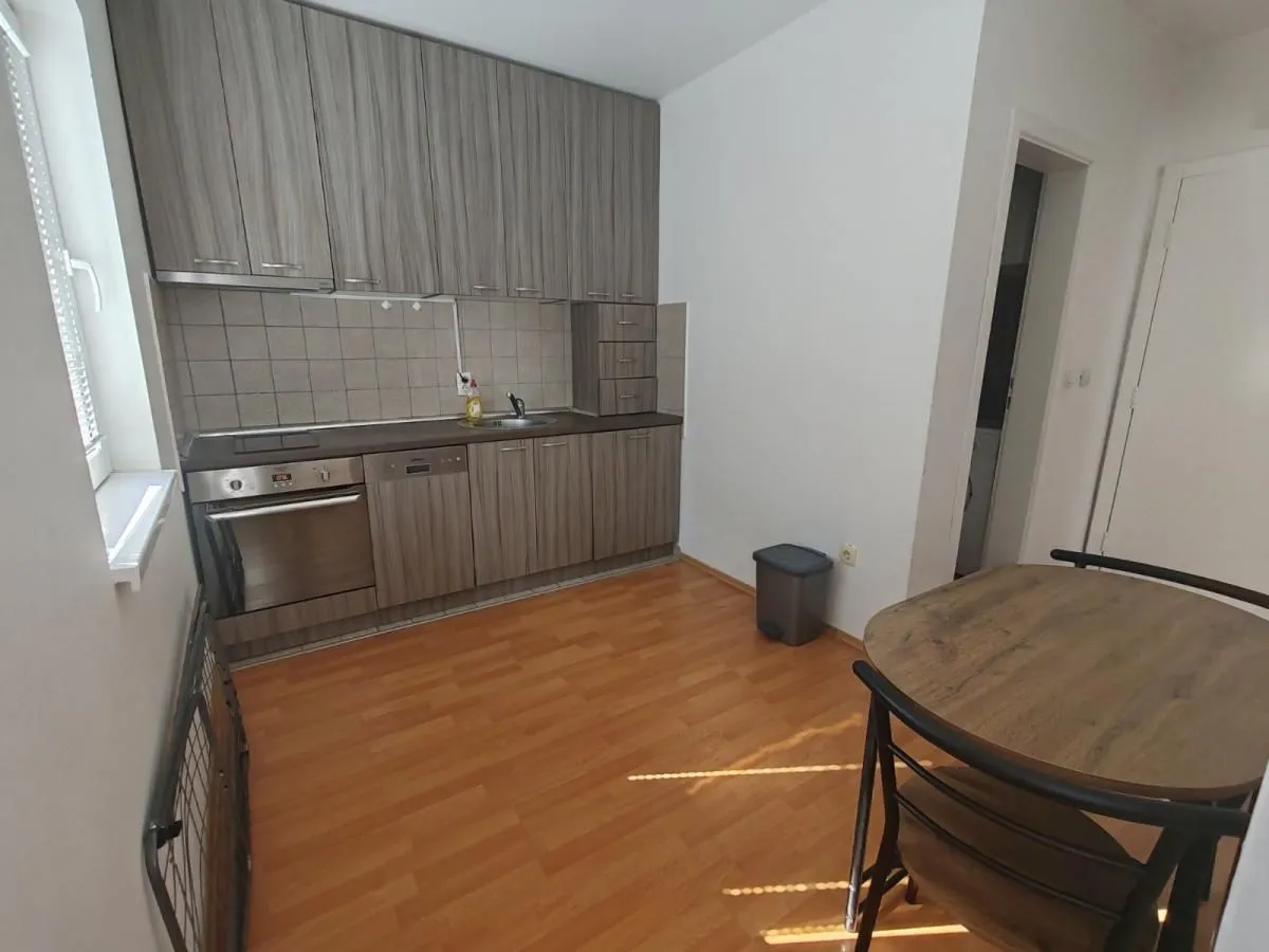 Rent, one bedroom apartment, 32m², Bulevar patrijarha Pavla, Novi Sad Sve Podlokacije