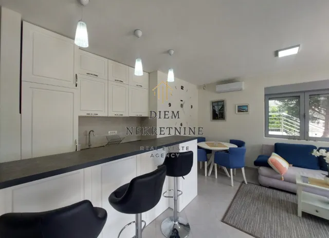 Izdavanje, jednosoban stan, 46m², Pod Kuk, Tivat