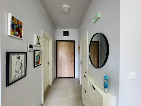Izdavanje, jednosoban stan, 35m², Vezirov Most, Podgorica - image 13