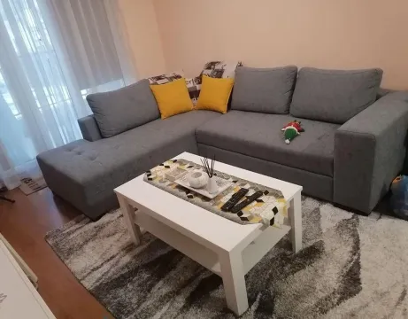 Izdavanje, jednosoban stan, 55m², Blok 6, Podgorica - image 5