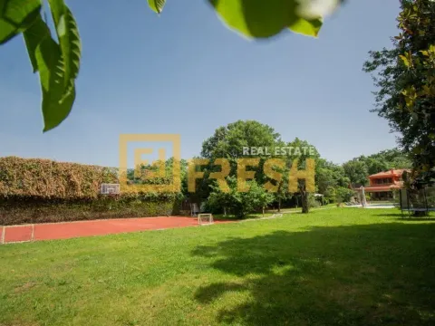 Rent, house, 400m², Danilovgrad, Crna Gora - image 13