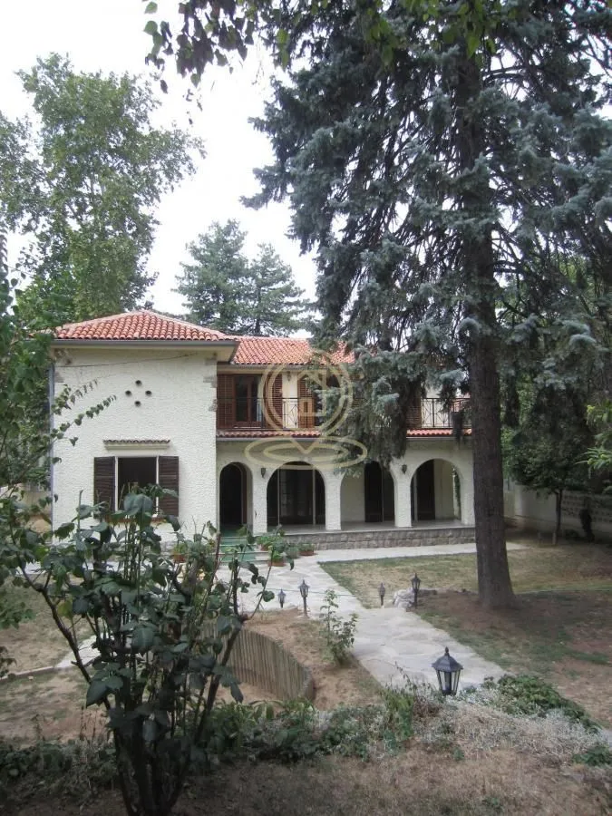 View of the house facade and the green courtyard.