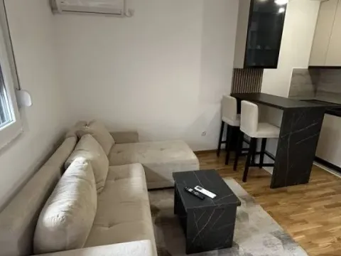 Izdavanje, jednosoban stan, 28m², Višnjica, Palilula Sve Podlokacije - image 4