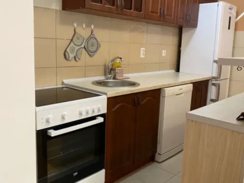 Izdavanje, jednosoban stan, 47m², Podgorica, Crna Gora - image 6