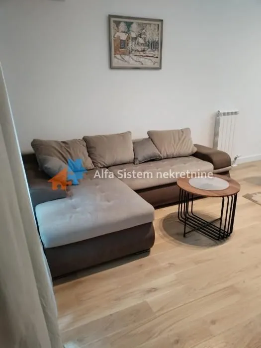 Rent, two bedroom apartment, 52m², Novi Beograd Blok 65, Novi Beograd Sve Podlokacije