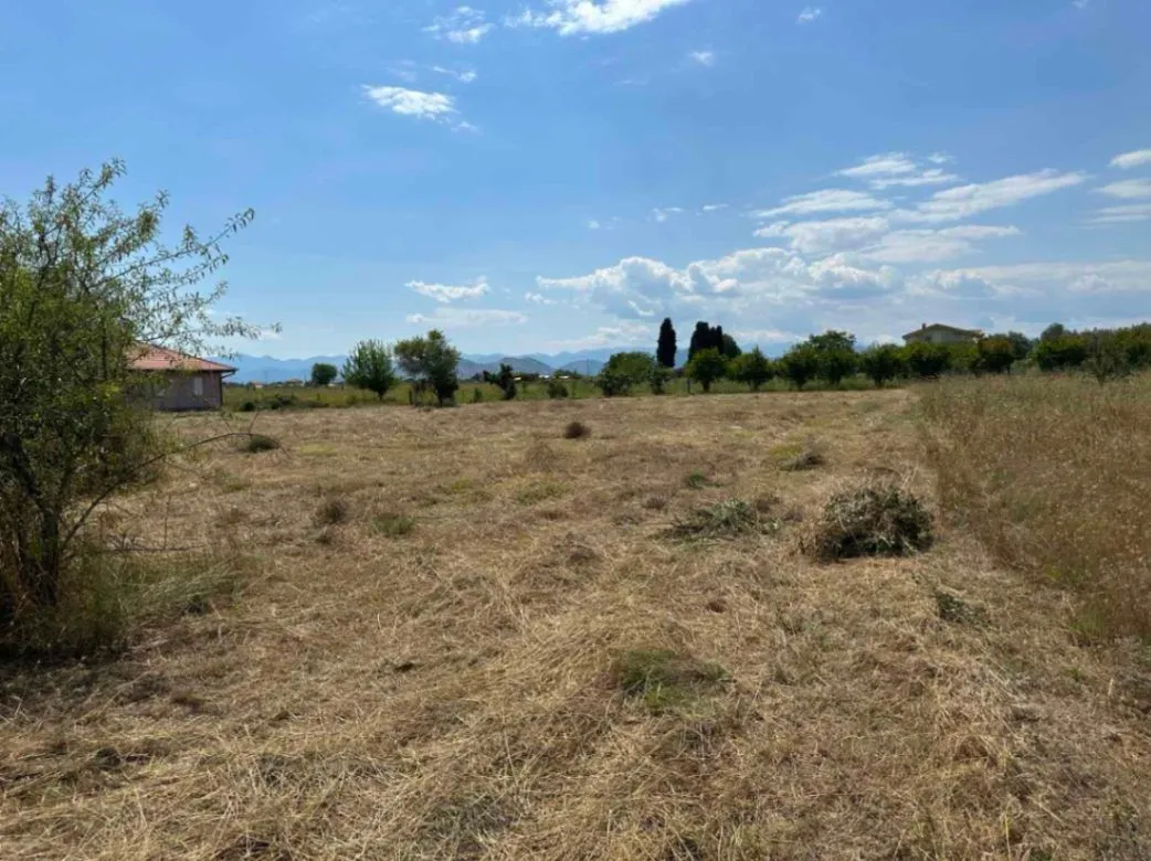 Prodaja, plac, 6000m², Golubovci, Podgorica