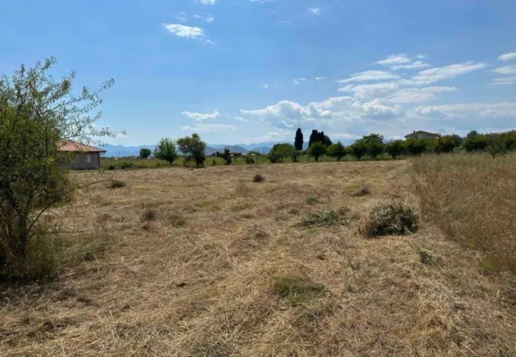 Sale, land lot, 6000m², Golubovci, Podgorica