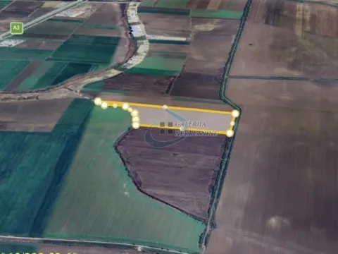 Prodaja, plac, 54000m², Zemun Ugrinovci, Zemun Sve Podlokacije - image 4