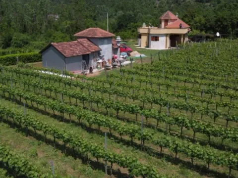 Sale, house, 300m², Zagorak, Danilovgrad - image 5