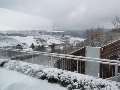 Prodaja, kuća, 337m², Sremska Kamenica, Petrovaradin - image 33