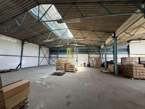 Rent, office space, 227m², Klisa, Novi Sad Sve Podlokacije