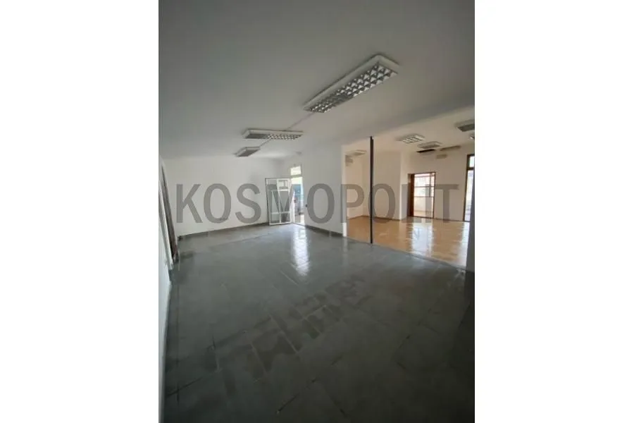 Izdavanje, poslovni prostor, 400m², Leštane, Grocka