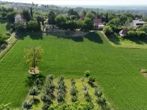 Prodaja, plac, 77000m², Krčedin, Inđija - image 3