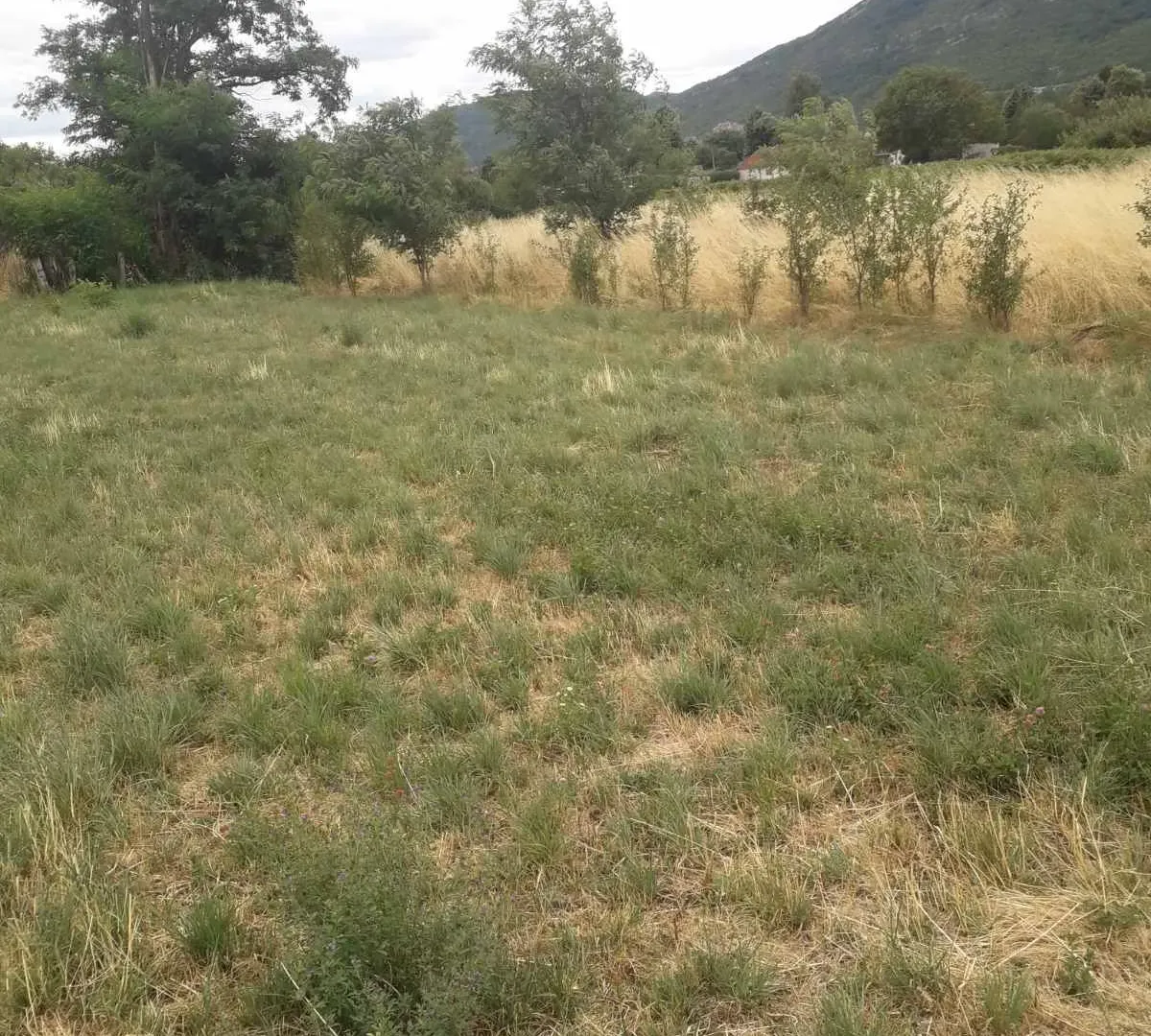 Prodaja, plac, 1000m², Nikšić, Crna Gora