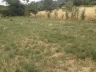 Sale, land lot, 1000m², Nikšić, Crna Gora - image 4