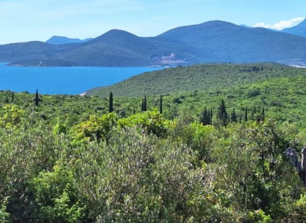 Sale, land lot, 371m², Glavatičići, Kotor