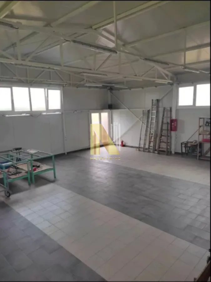 Rent, office space, 210m², Adice, Novi Sad Sve Podlokacije