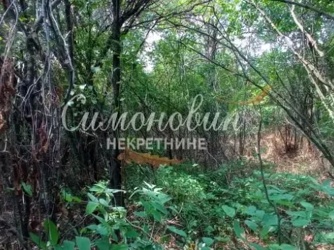 Prodaja, plac, 850m², Surčin, Beograd - image 5