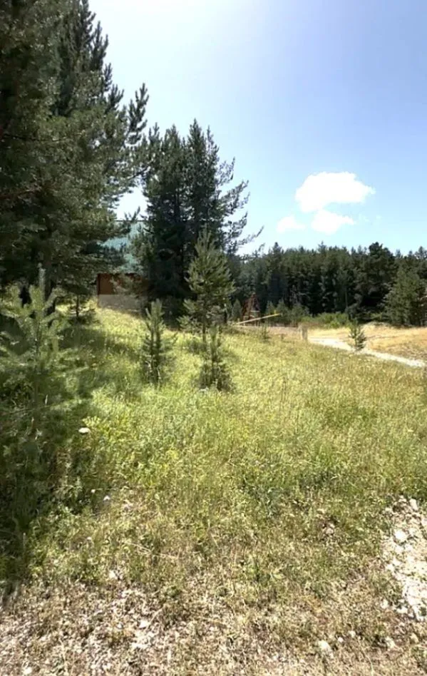 Prodaja, plac, 300m², Borje, Žabljak