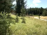 Sale, land lot, 300m², Borje, Žabljak - image 1