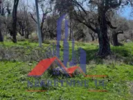 Prodaja, plac, 2600m², Dobre Vode, Bar - image 3