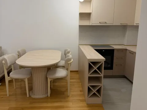 Izdavanje, jednosoban stan, 49m², Zabjelo, Podgorica - image 4