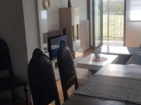 Izdavanje, jednosoban stan, 38m², Borča 1, Borča Sve Podlokacije - image 2