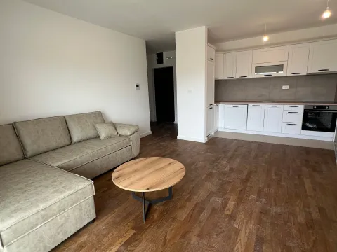 Sale, one bedroom apartment, 49m², Ilino, Bar - image 2