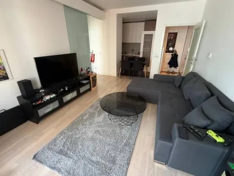 Rent, two bedroom apartment, 55m², Novi Beograd Blok 65, Novi Beograd Sve Podlokacije - image 3