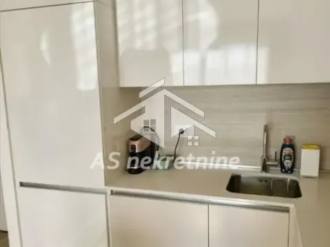 Izdavanje, dvosoban stan, 53m², Savski Venac, Beograd - image 6