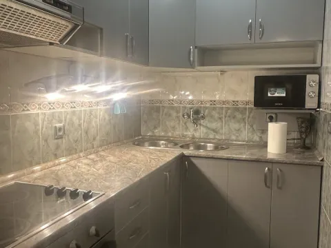 Rent, one bedroom apartment, 44m², Preko Morače, Podgorica - image 4