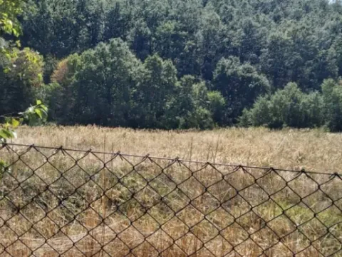 Prodaja, kuća, 63m², Kosmaj, Sopot - image 7