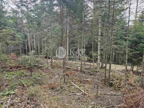 Sale, land lot, 500m², Tara, Srbija - image 3