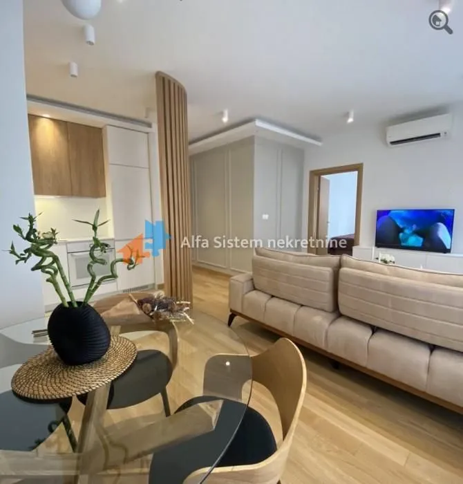 Rent, two bedroom apartment, 45m², Južni Bulevar, Vračar Sve Podlokacije