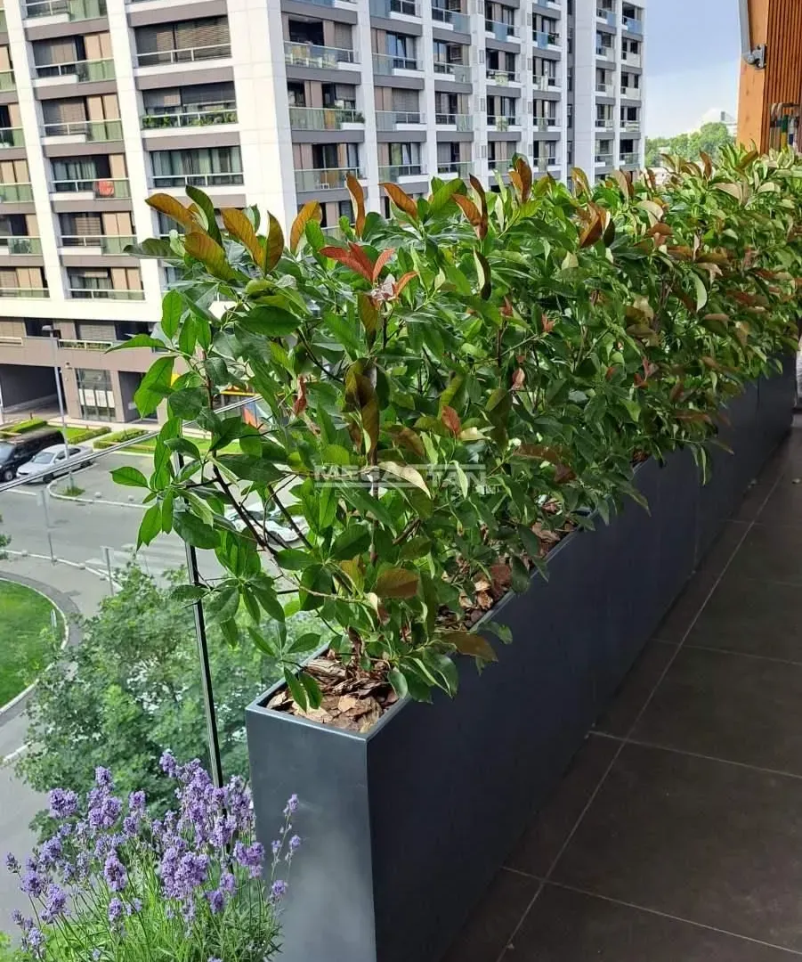 Sale, three bedroom apartment, 83m², Novi Beograd Blok 65, Novi Beograd Sve Podlokacije